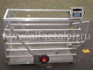 Весы платформенные