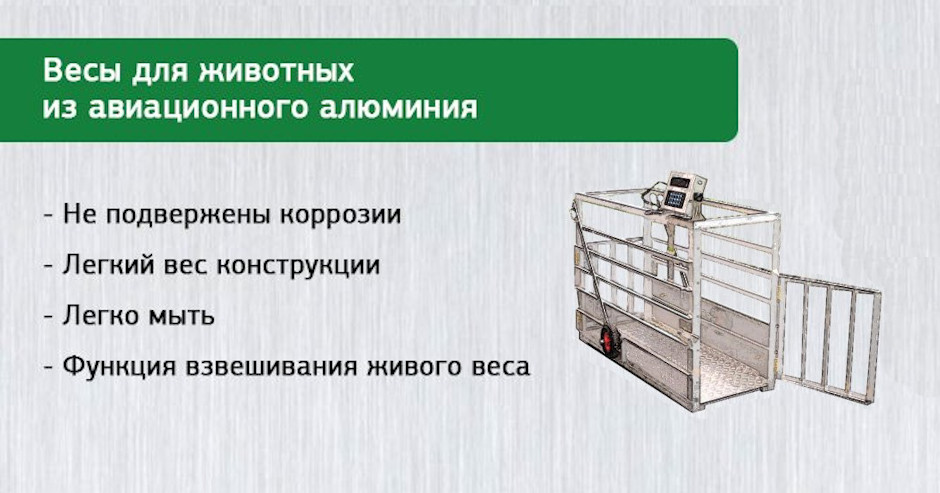 Весы для взвешивания скота